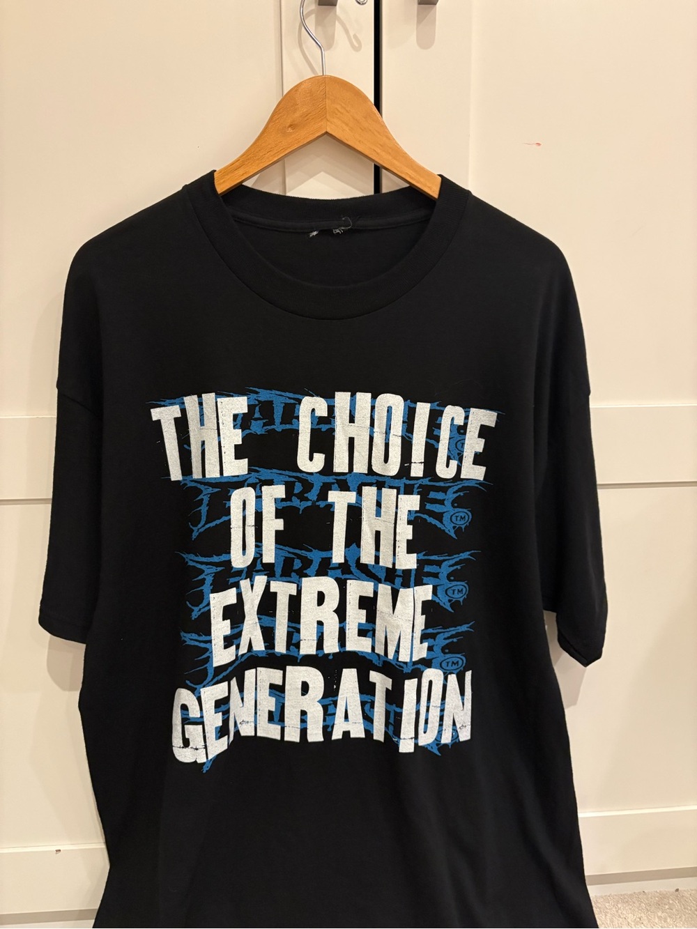 INSANE VTG 90s roll of dishonour band tee